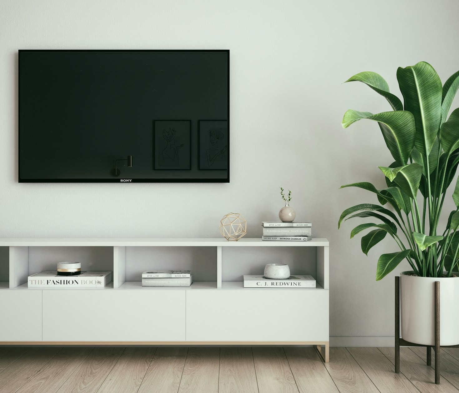 The Future of Television: Trends to Watch